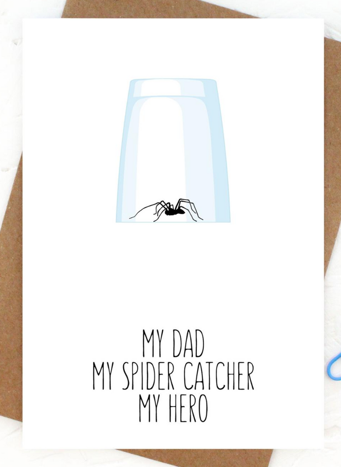 My Spider Catcher
